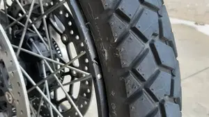 Triumph Tiger 900 Rally Pro (2020 - 23)  (5)