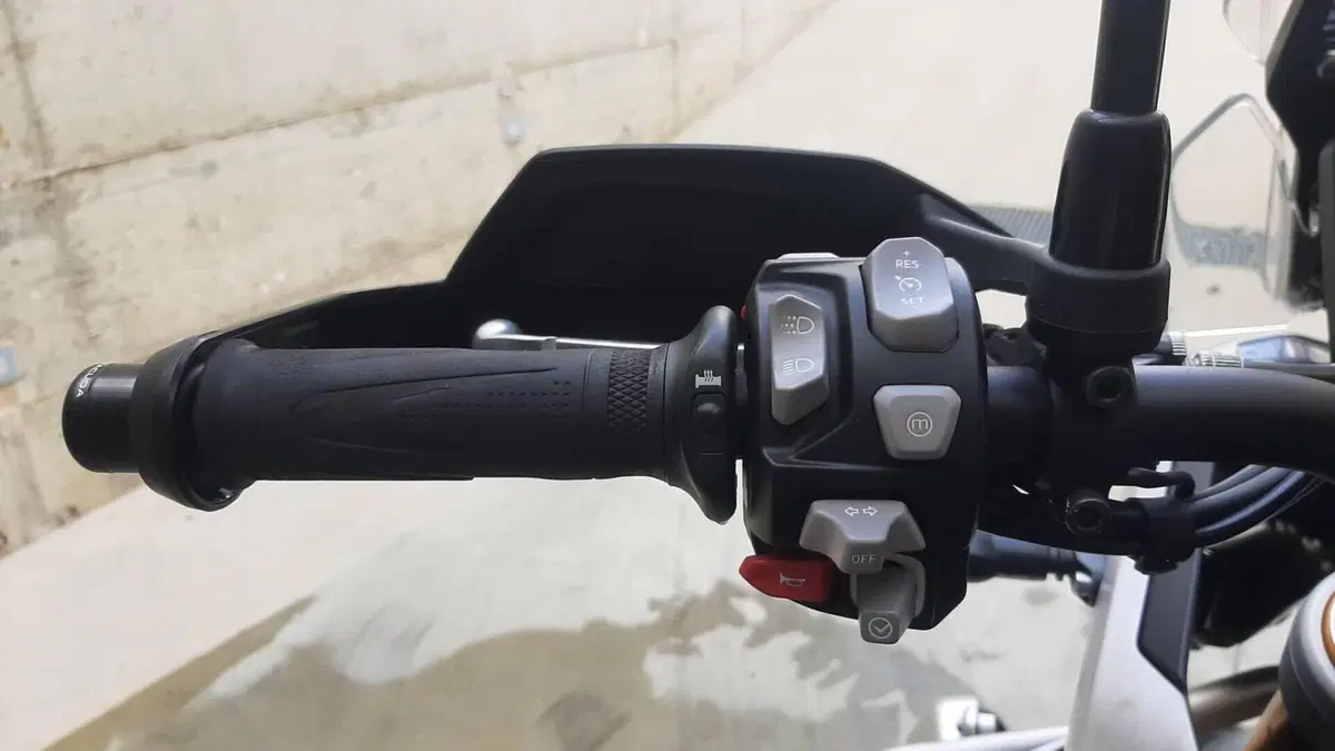 Triumph Tiger 900 Rally Pro (2020 - 23)  (9)