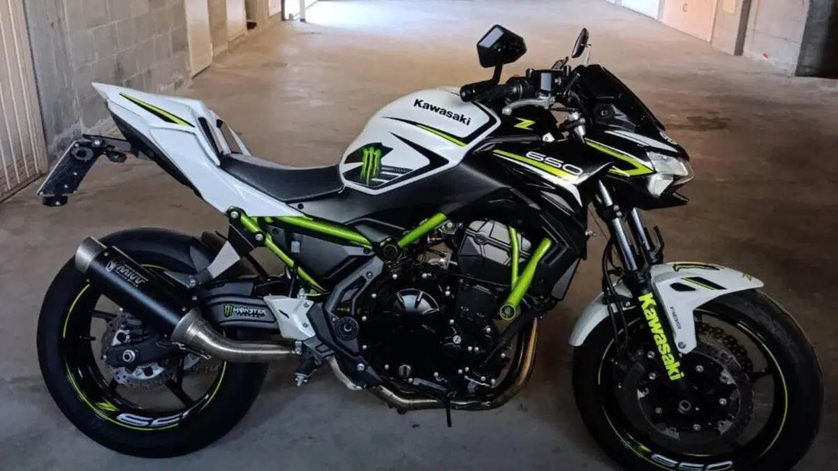 Kawasaki Z 650 (2021 - 24) 
