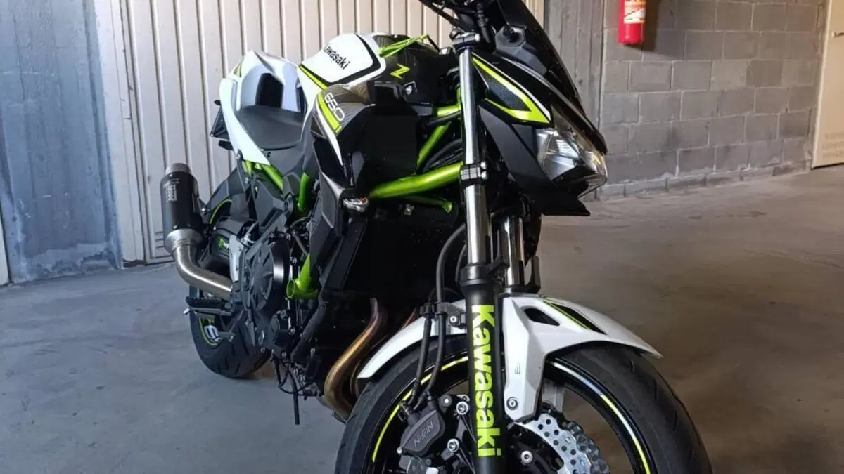 Kawasaki Z 650 (2021 - 24)  (5)