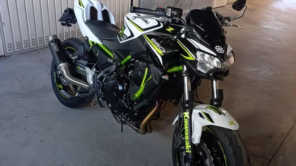 Kawasaki Z 650 (2021 - 24)  (6)