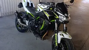 Kawasaki Z 650 (2021 - 24)  (6)