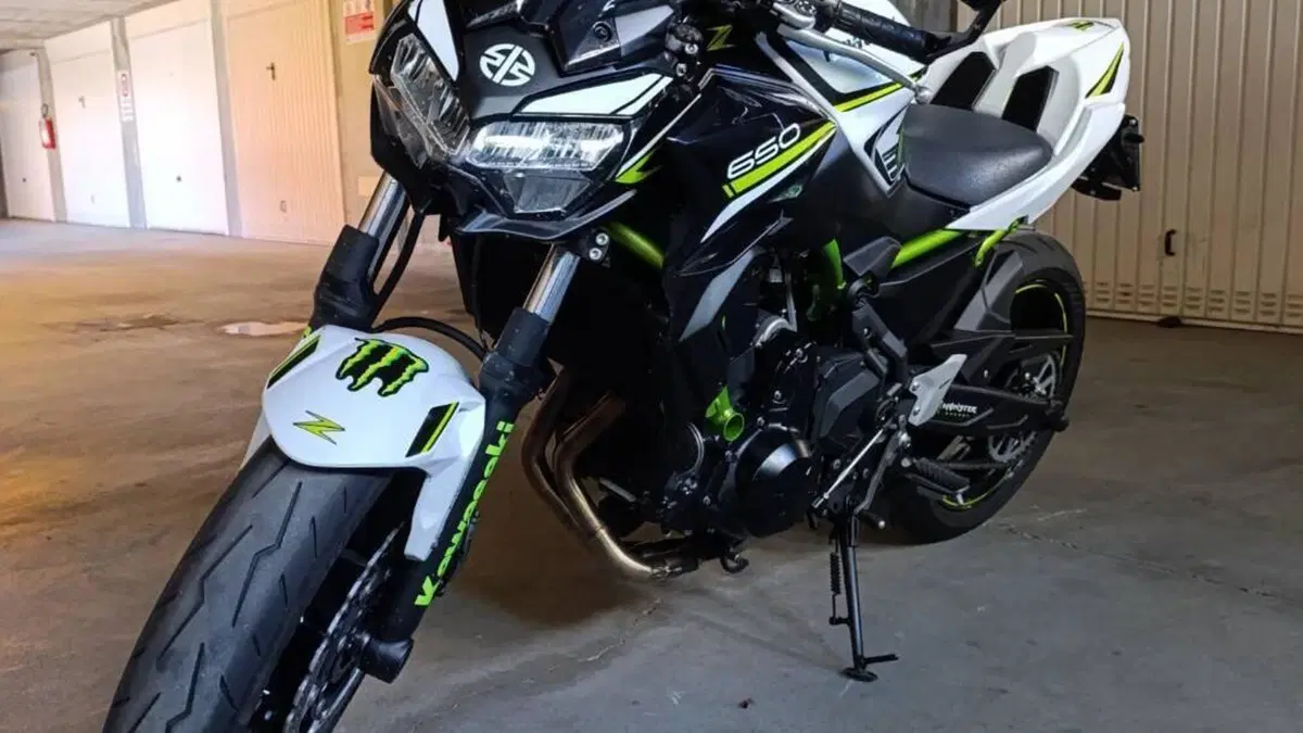 Kawasaki Z 650 (2021 - 24)  (9)