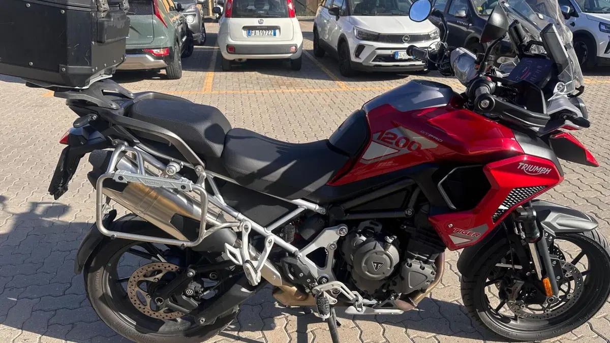 Triumph Tiger 1200 GT Pro (2024 - 26)  (3)