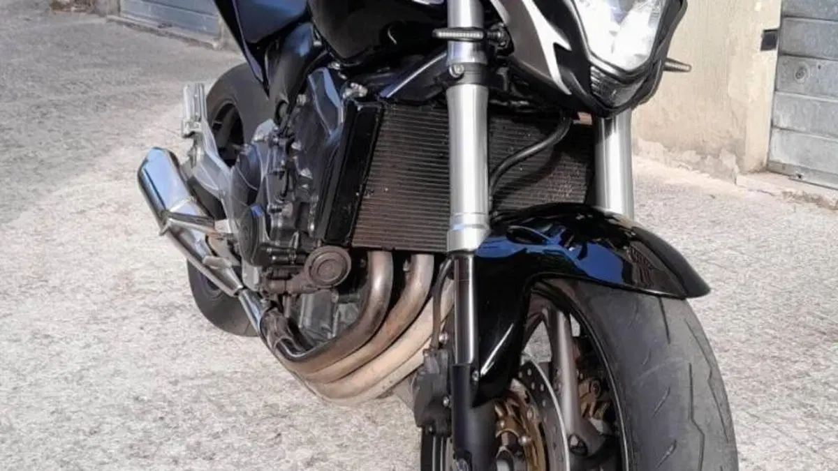 Honda Hornet 600 (2011 - 13)  (2)