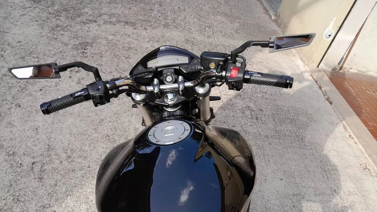 Honda Hornet 600 (2011 - 13)  (5)