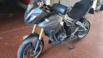 Triumph Tiger 1050 SE ABS (2006 - 13)
