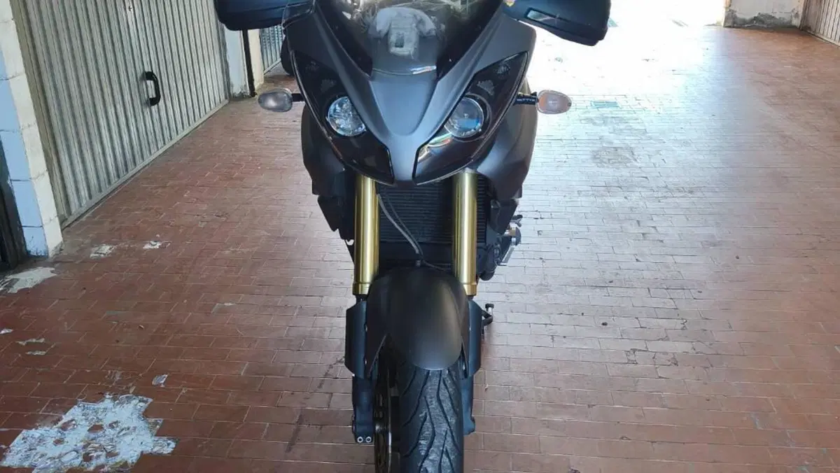 Triumph Tiger 1050 SE ABS (2006 - 13)  (4)