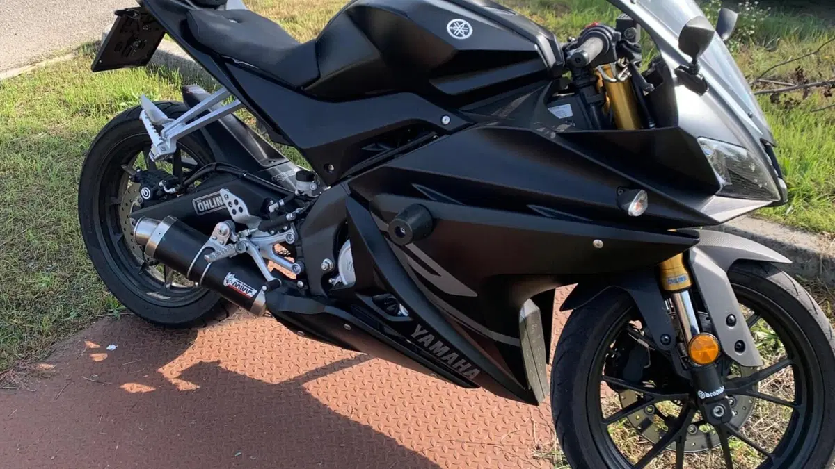 Yamaha YZF R125 (2017 - 18) 
