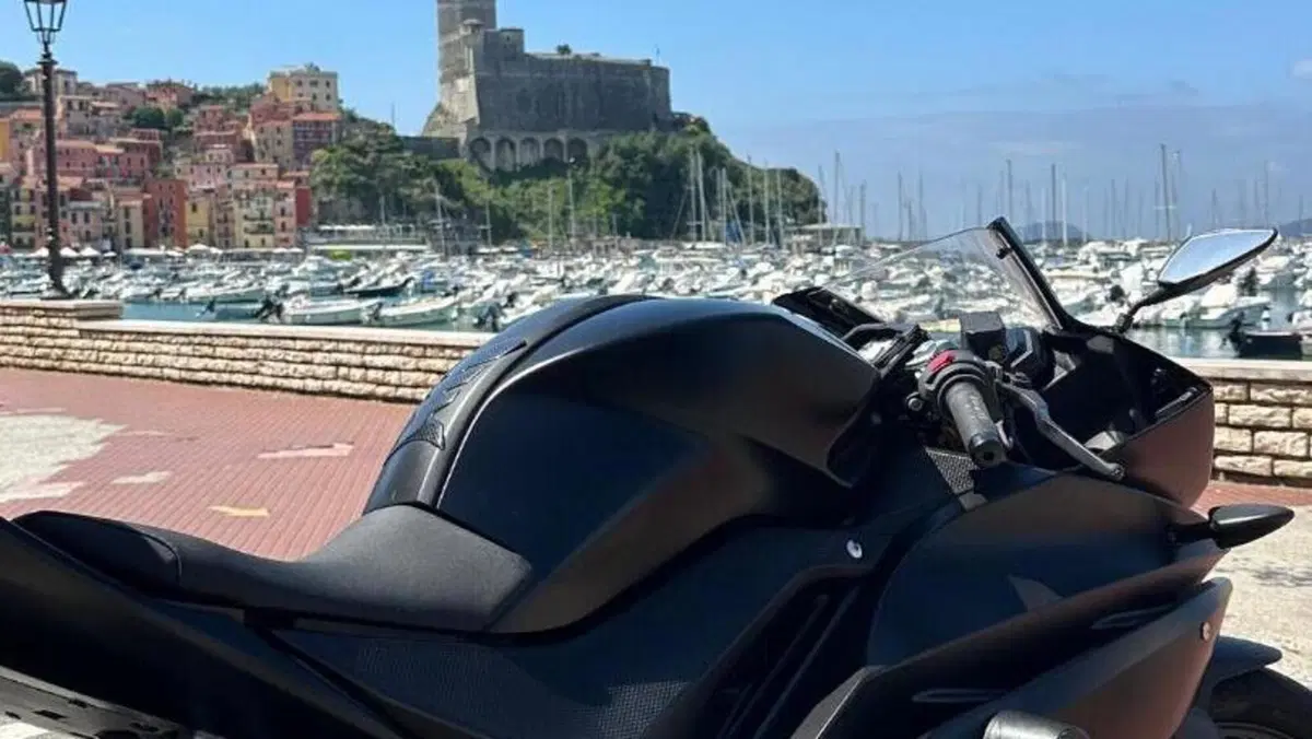 Yamaha YZF R125 (2017 - 18)  (6)