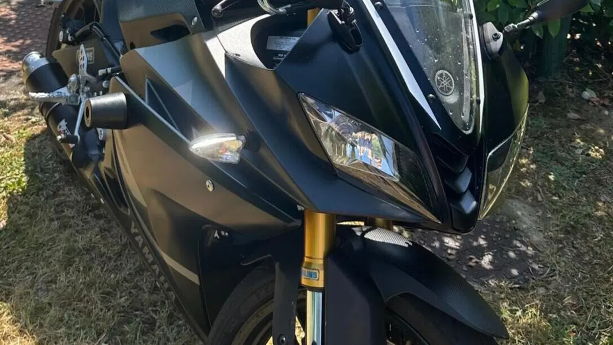 Yamaha YZF R125 (2017 - 18)  (7)