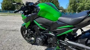 Kawasaki Z 900 (2021 - 24)  (4)