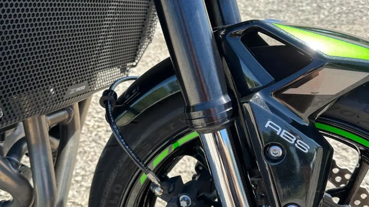 Kawasaki Z 900 (2021 - 24)  (9)