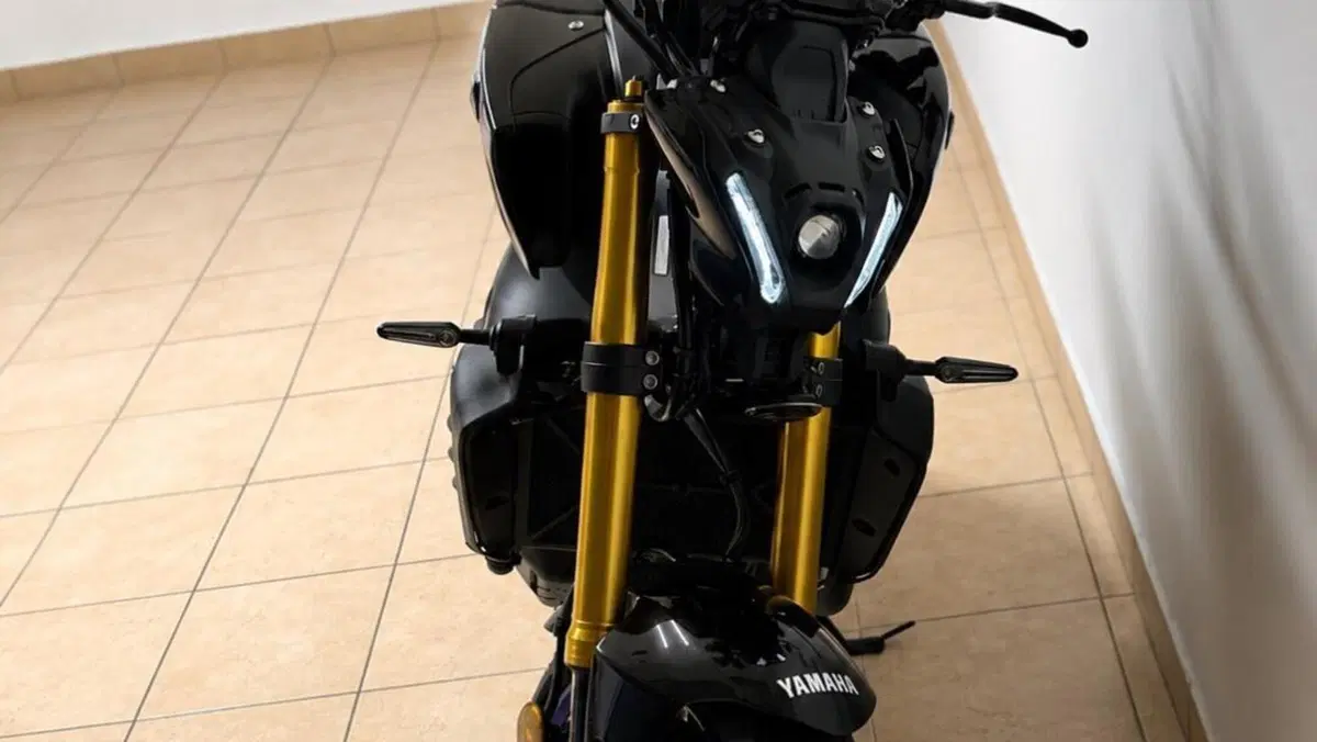 Yamaha MT-09 SP (2021 - 23)  (3)