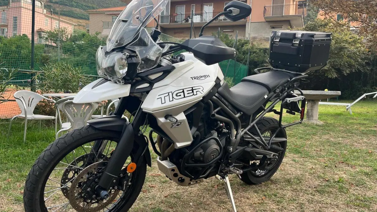 Triumph Tiger 800 XCx (2018 - 20)  (2)