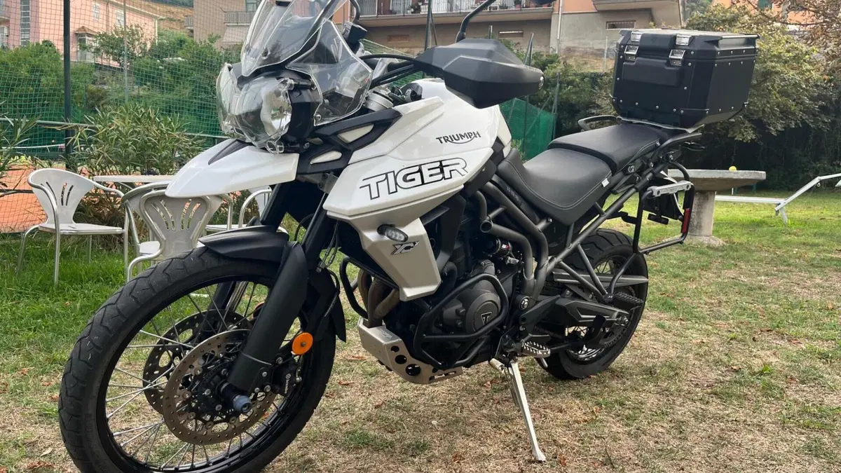 Triumph Tiger 800 XCx (2018 - 20)  (3)