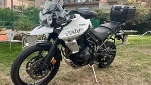 Triumph Tiger 800 XCx (2018 - 20)  (3)