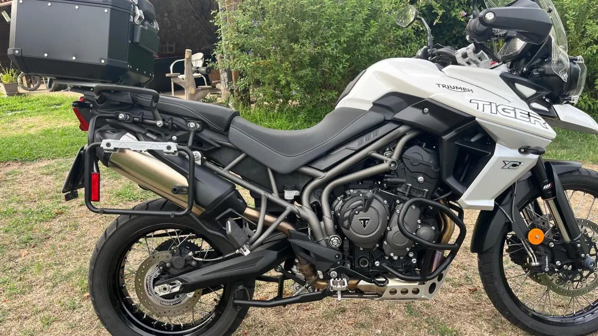 Triumph Tiger 800 XCx (2018 - 20)  (4)