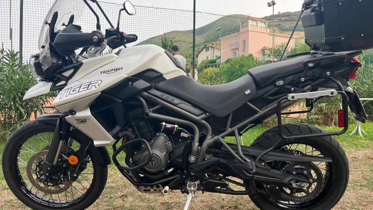 Triumph Tiger 800 XCx (2018 - 20)  (5)