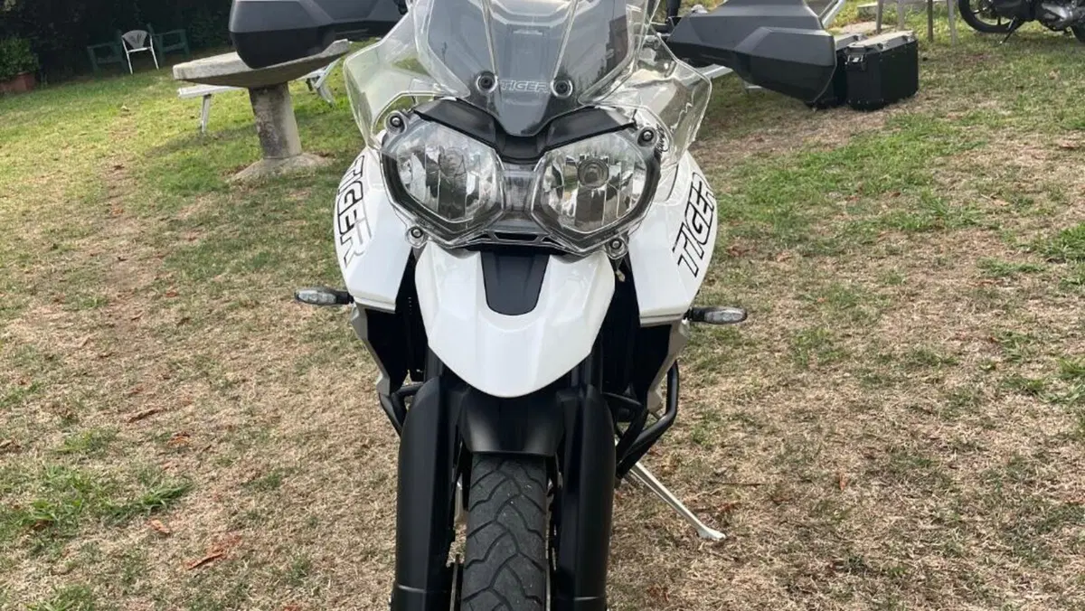 Triumph Tiger 800 XCx (2018 - 20)  (6)