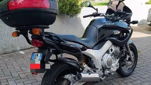 Yamaha TDM 850 (1996 - 01)  (4)