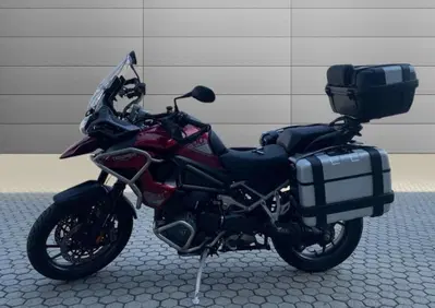 Triumph Tiger 1200 GT Pro (2024 - 26) - Annuncio 10095338