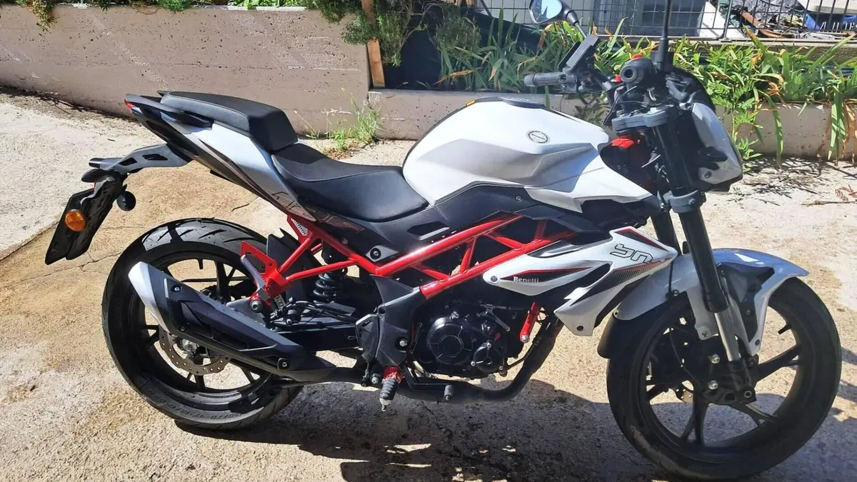 Benelli BN 125 (2021 - 25)  (2)
