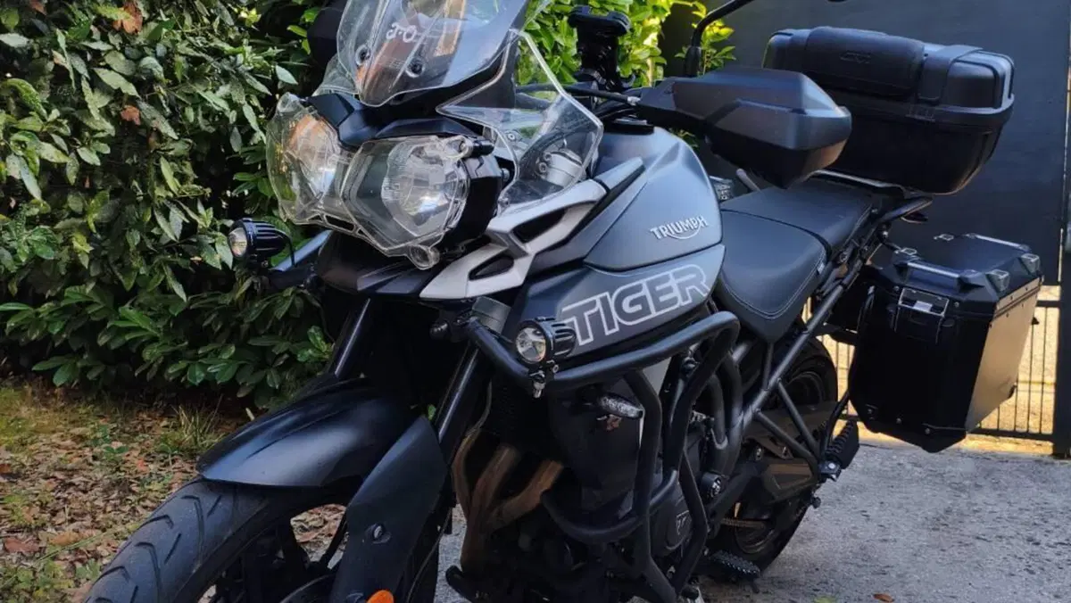 Triumph Tiger 800 XRx (2018 - 20)  (2)
