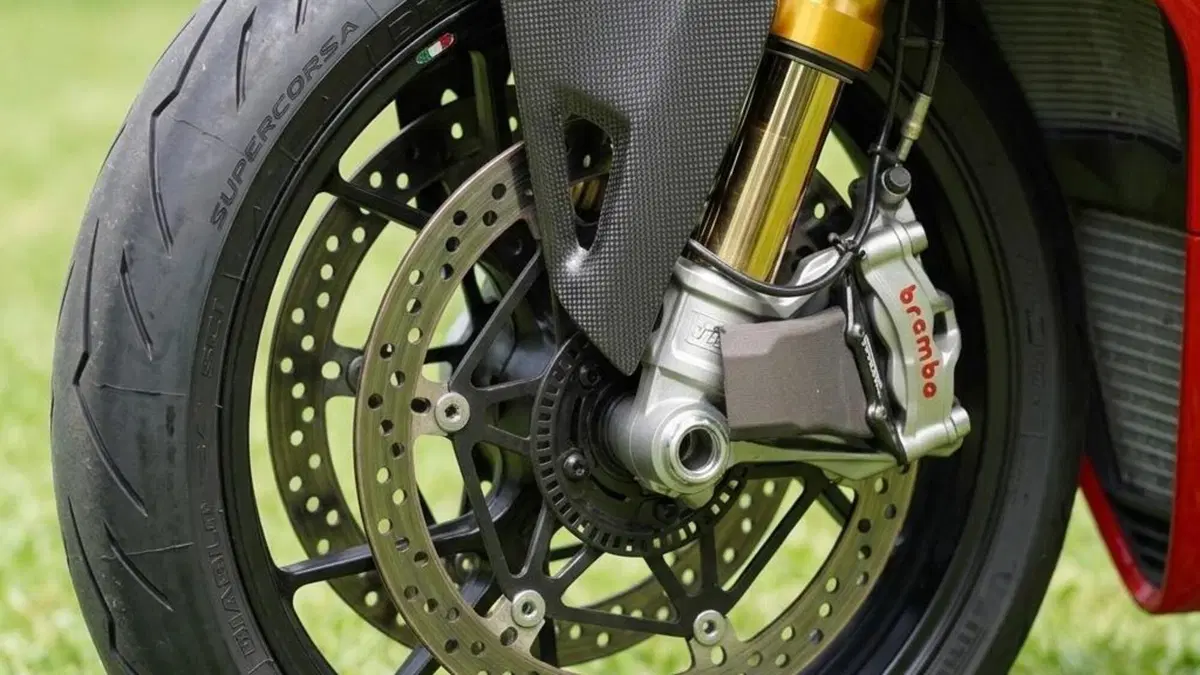 Ducati Panigale V4 R 1000 (2019 - 20)  (3)