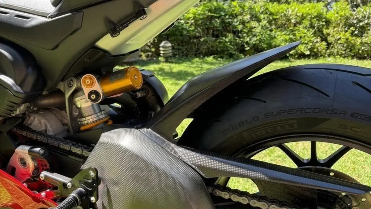 Ducati Panigale V4 R 1000 (2019 - 20)  (8)