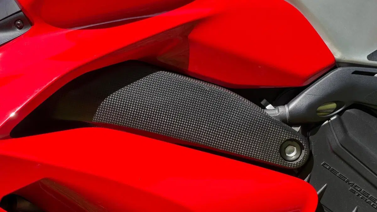 Ducati Panigale V4 R 1000 (2019 - 20)  (9)