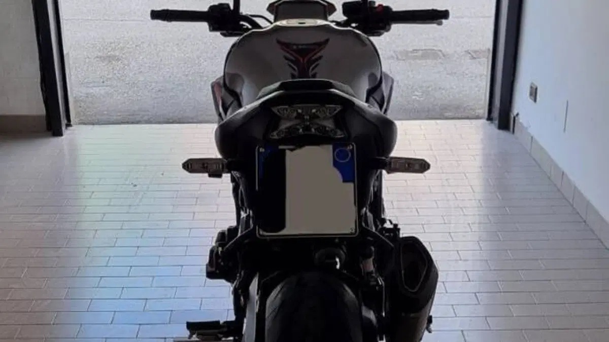 Kawasaki Z 900 (2021 - 24)  (4)