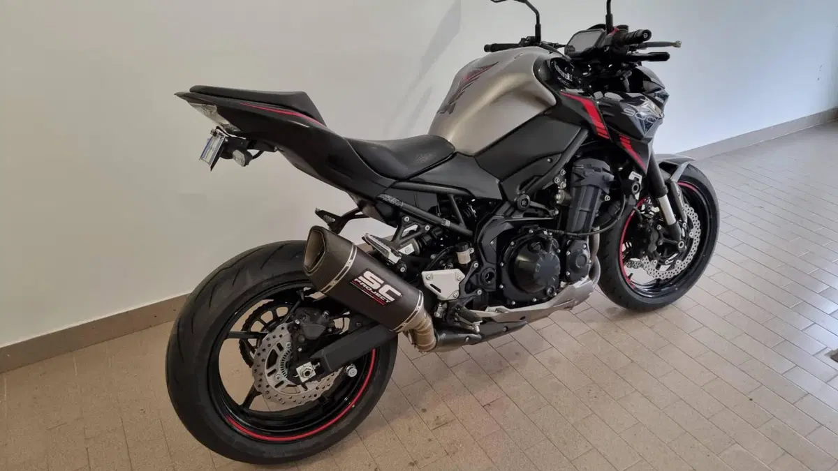 Kawasaki Z 900 (2021 - 24)  (7)