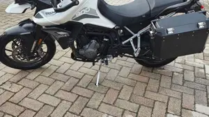 Triumph Tiger 900 GT (2020 - 23)  (3)