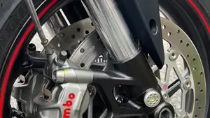 Triumph Street Triple RS (2020 - 22)  (6)