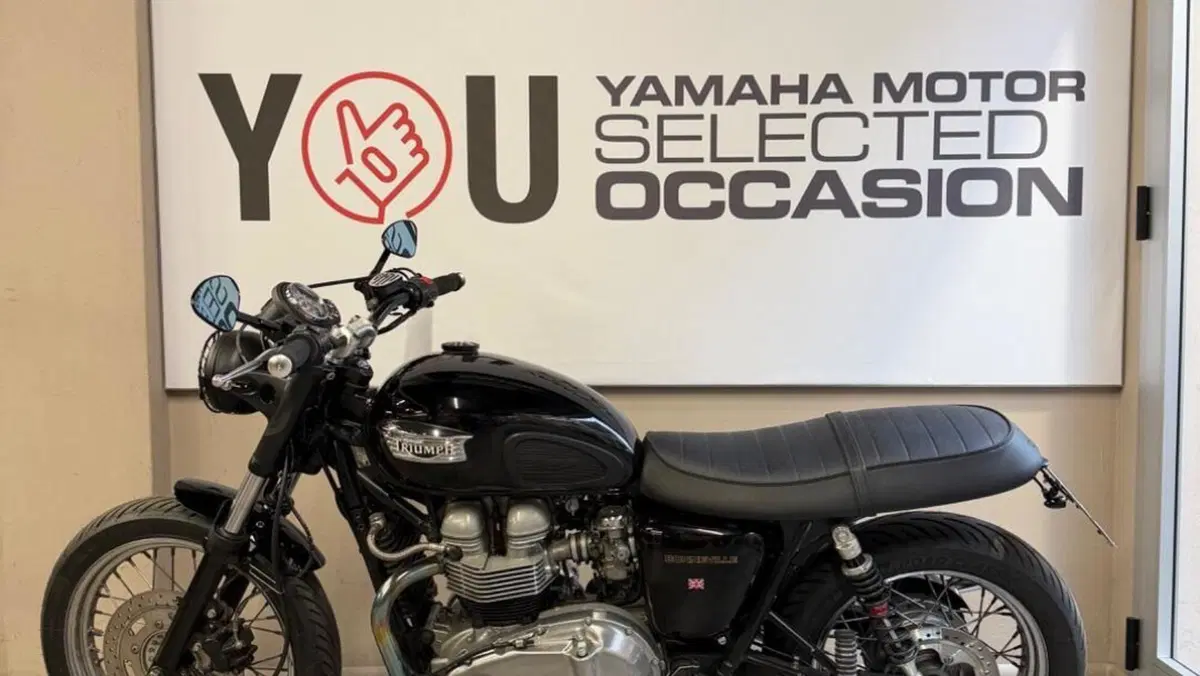 Triumph Bonneville T100 (2001 - 07)  (12)