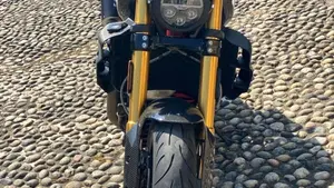 Indian FTR 1200 R Carbon (2021 - 25)  (3)