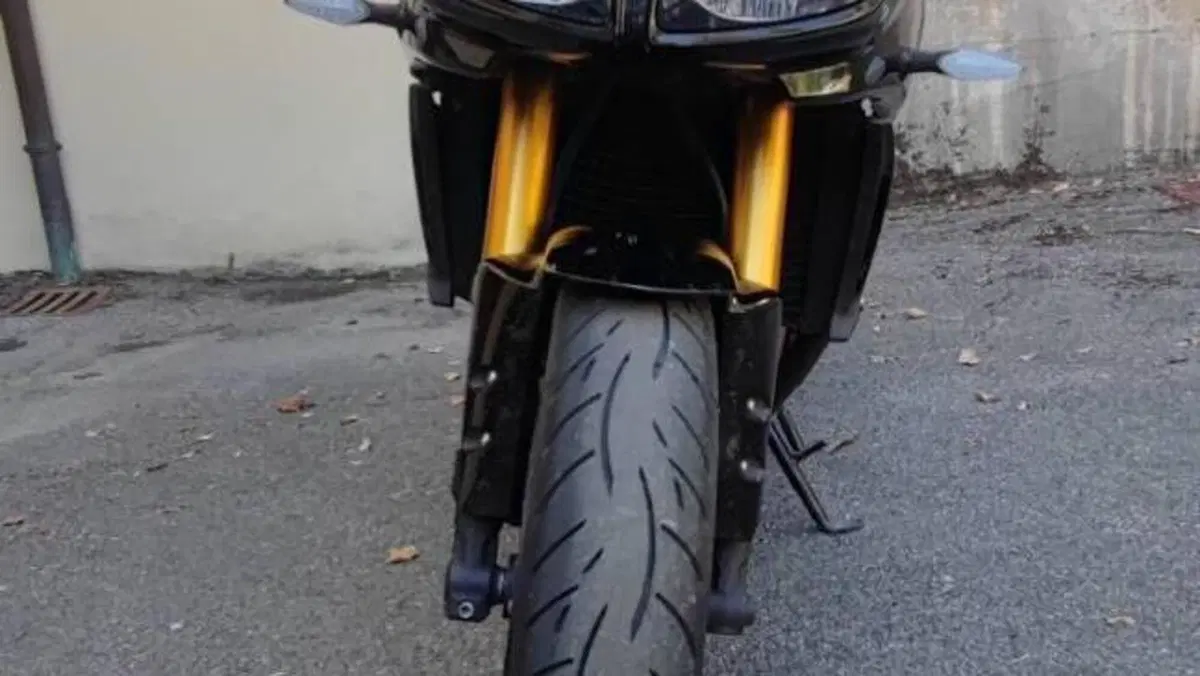 Yamaha FZ1 Fazer (2006 - 16)  (3)