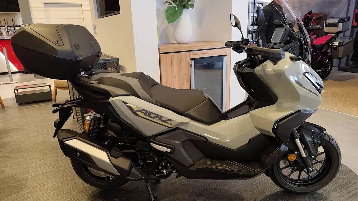 Honda ADV 350 Special Edition (2025 - 26) 