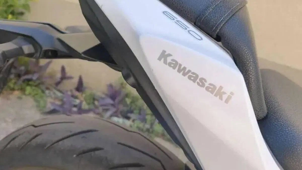 Kawasaki Z 650 (2017 - 19)  (8)