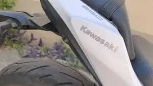 Kawasaki Z 650 (2017 - 19)  (8)