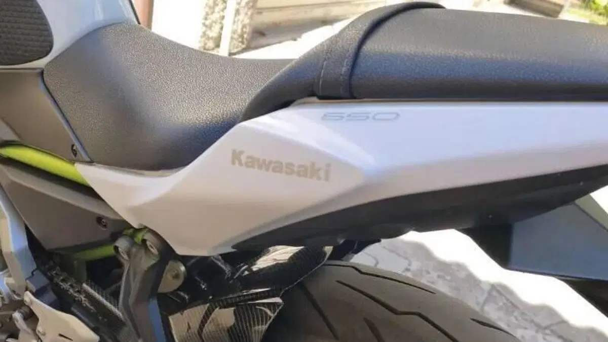 Kawasaki Z 650 (2017 - 19)  (9)