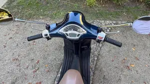 Vespa Primavera 150 3V ie (2014 - 16)  (7)