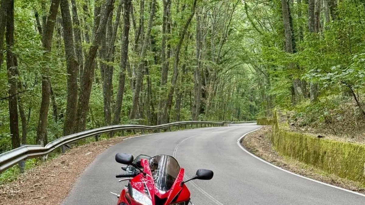 Honda CBR 600 RR (2009 - 12)  (4)