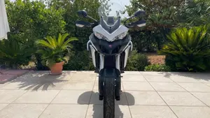Ducati Multistrada 950 (2019 - 20)  (3)