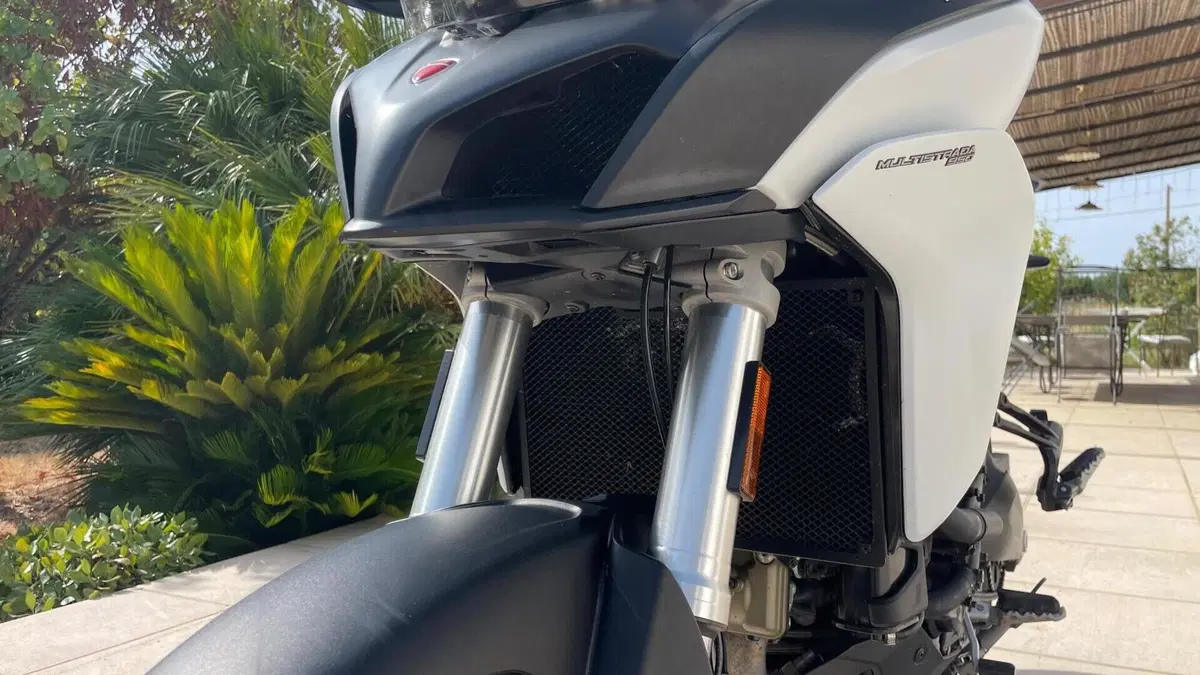 Ducati Multistrada 950 (2019 - 20)  (7)