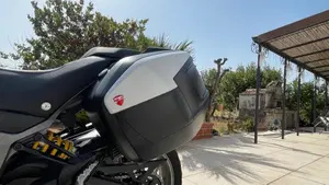Ducati Multistrada 950 (2019 - 20)  (9)