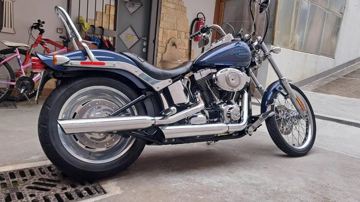 Harley-Davidson 1584 Custom (2008 - 09) - FXSTC  (2)