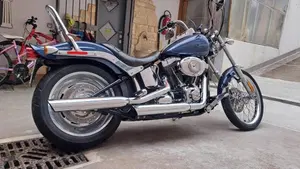 Harley-Davidson 1584 Custom (2008 - 09) - FXSTC  (2)