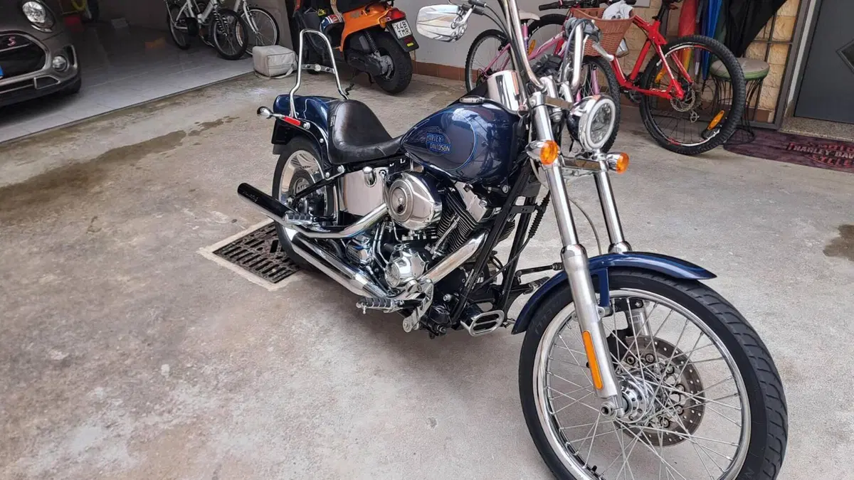 Harley-Davidson 1584 Custom (2008 - 09) - FXSTC  (3)